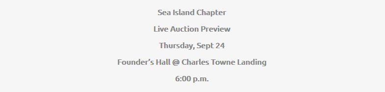 chapters-sea-island-img